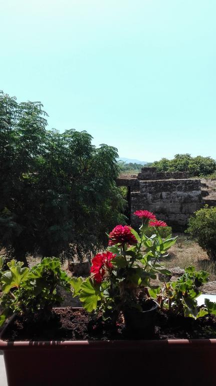 Porta Aurea Hotel Paestum Kültér fotó